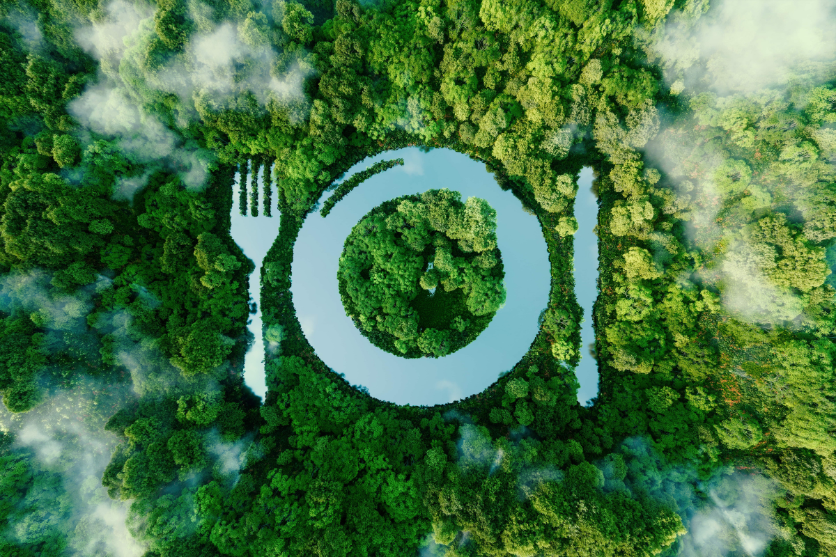 Food Choices and Environmental Burden