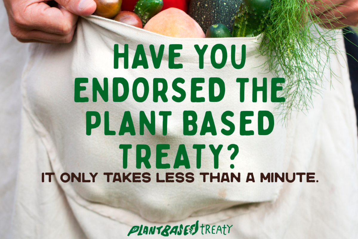 Plant Based Treaty