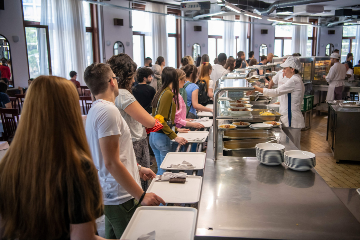 Plant-Based Catering in further education